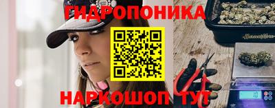 стаф Бузулук