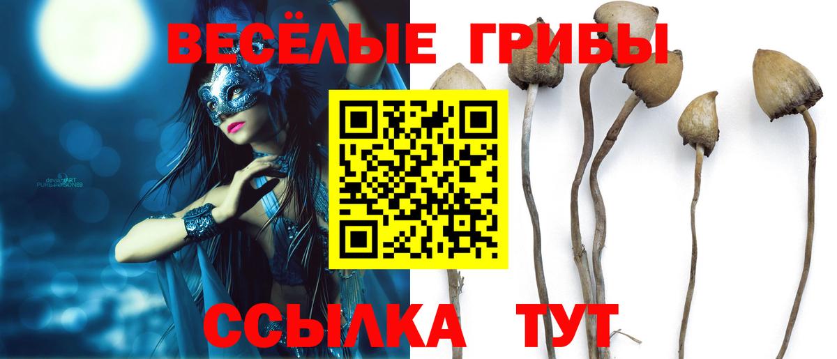 Алапаевск  купить закладку  Вход с VPN  Псилоцибиновые грибы мицелий 